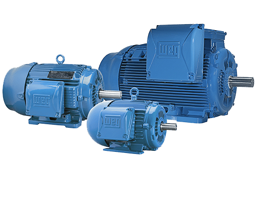 ip55Motor ip55Motor